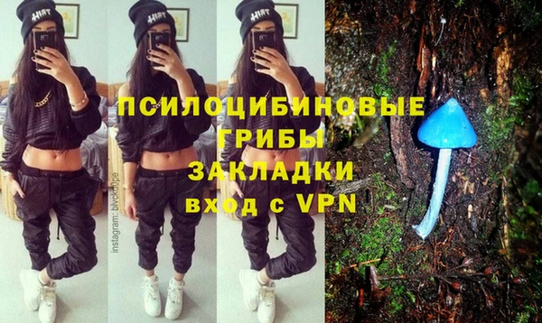 гидропоника Алзамай